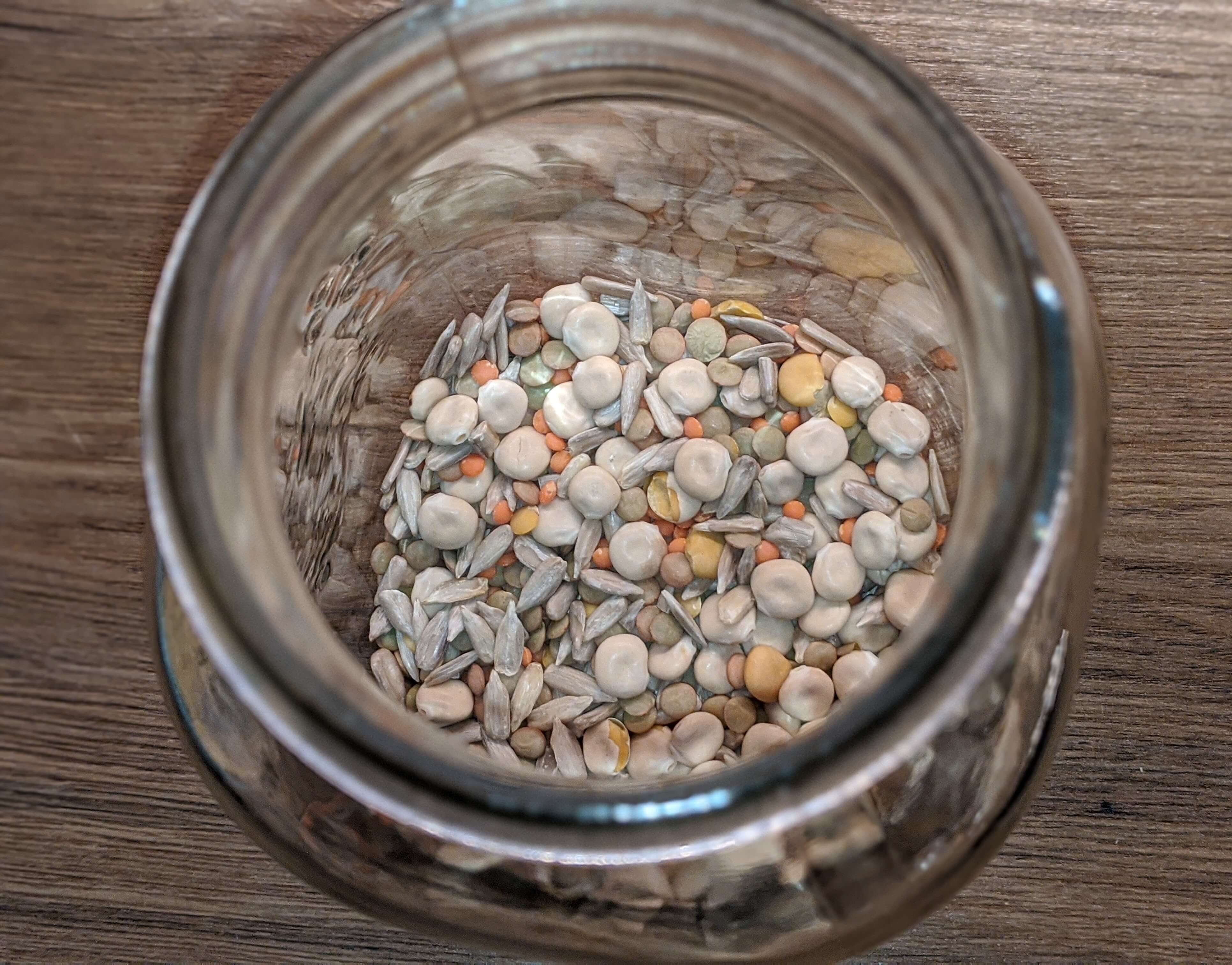 Soaking legumes & sunflower seeds